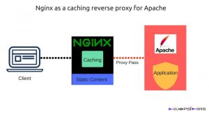 Nginx as a caching Reverse proxy for apache