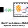 Meltdown and Spectre Vulnerability